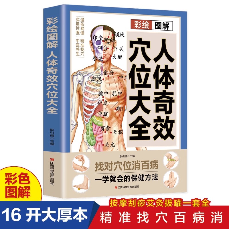 Complete Guide to Acupoint Mas - đánh giá và giá Health & Wellness Retailers